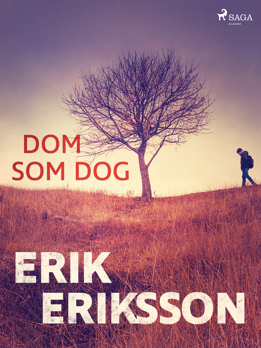 Cover image for Dom som dog